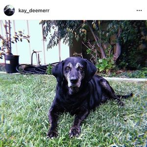 Meet your Posher, Audrey